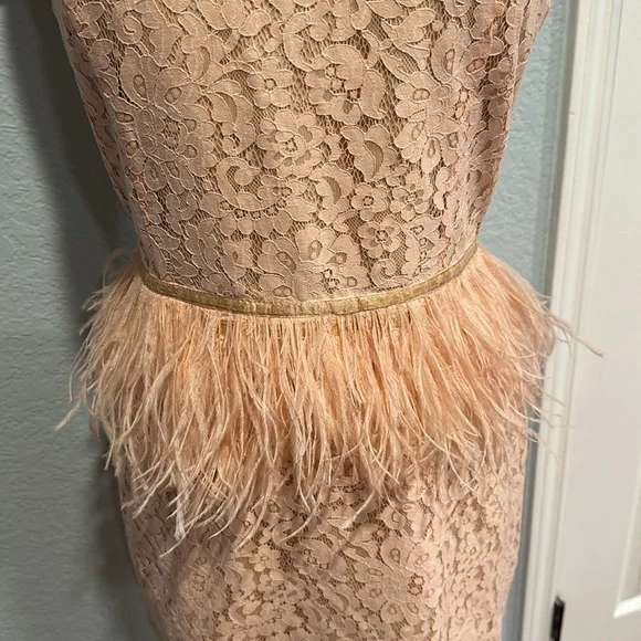 Revolve • Endless Rose Lace Feather Peplum Dress in Nude Pink • Sz L - Picture 4 of 10